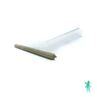 Pre-Roll Lindsay OG