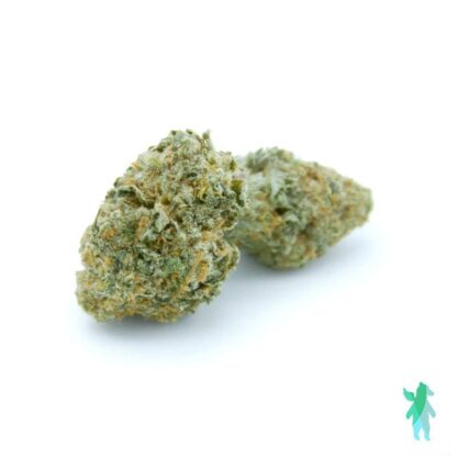 Girl Scout Cookies
