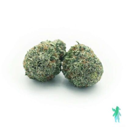 Gods Green Crack