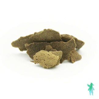 hash online Canada
