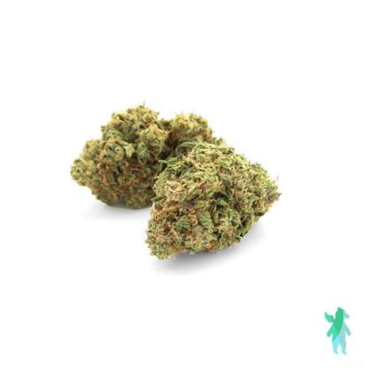 Gelato AAA