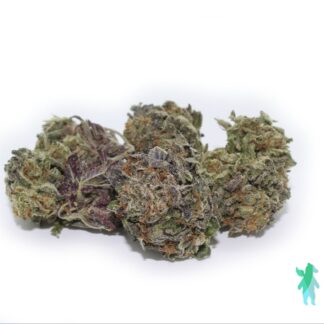 Mix N Match (Green House)