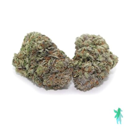 Purple Queen AAAA Indica