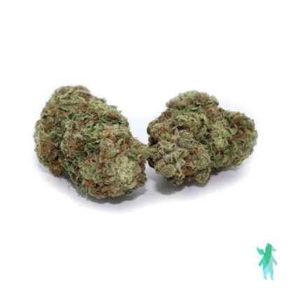 Violator Kush AAAA