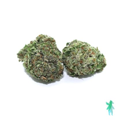 Purple Queen AAA Indica