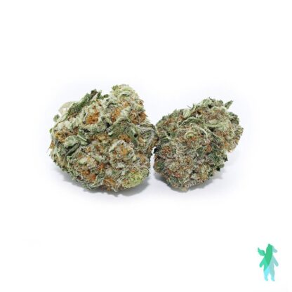 Cali Bubba AAA+