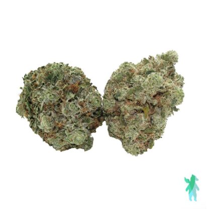 Tuna Kush AAA+