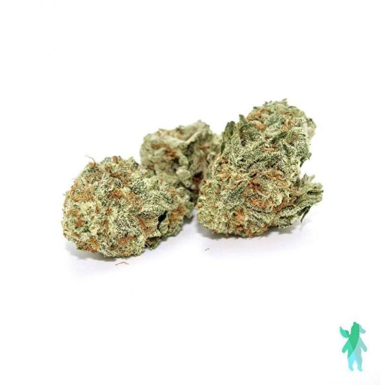 Jungle Cake Strain Best Online Cannabis Weed Shop in Canada