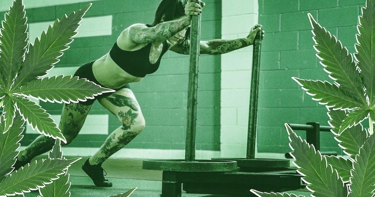 How to Pair Weed and CBD with Workouts for Active Stoners