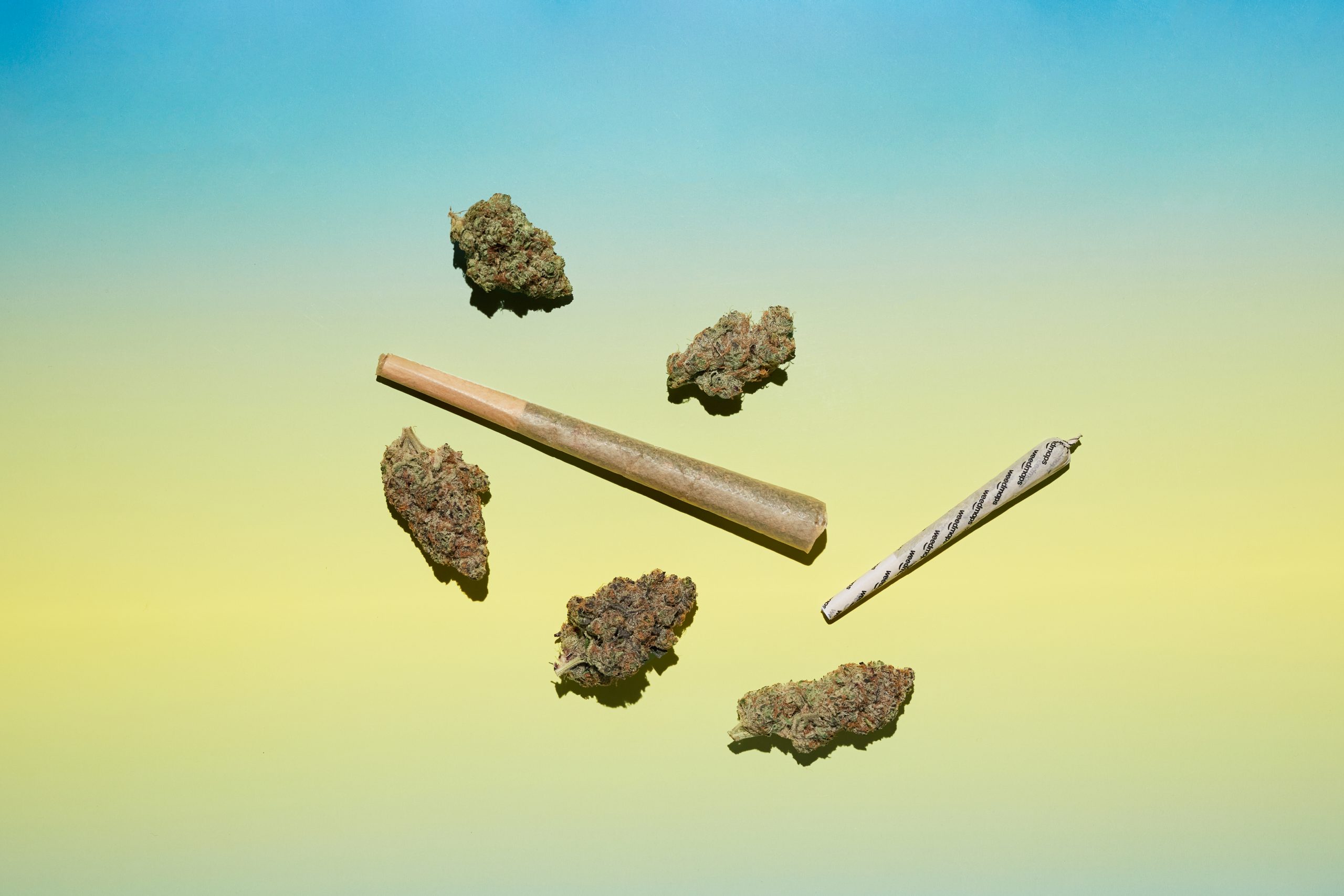 How Fidel’s Hash Holes Are Changing the Pre-Roll Game