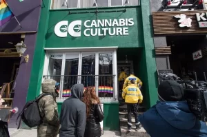 Cannabis Culture in Toronto