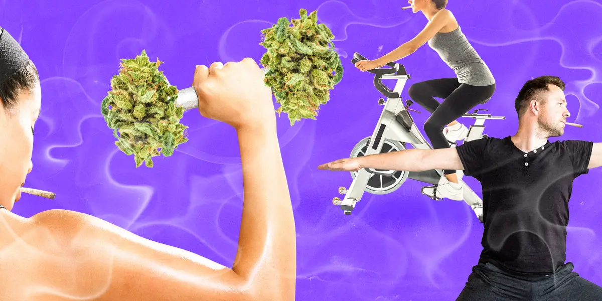 Cannabis and Fitness