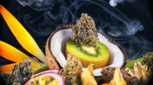 Cannabis Strains That Have a Tropical Taste
