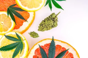 Citrus-Flavored Cannabis Strains