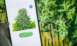 Buying Sativa Online
