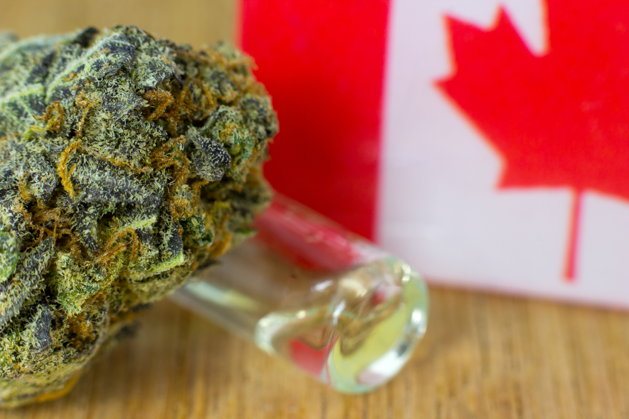 Marijuana Strains in Canada