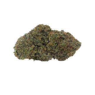 Pink Coma (Indica) – AAA
