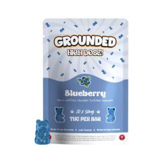 Grounded High Dose - Blueberry