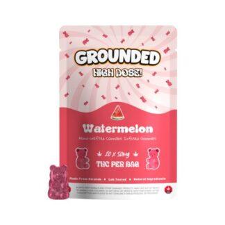 Grounded High Dose - Watermelon