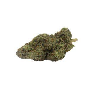 Apple Fritter (Hybrid)